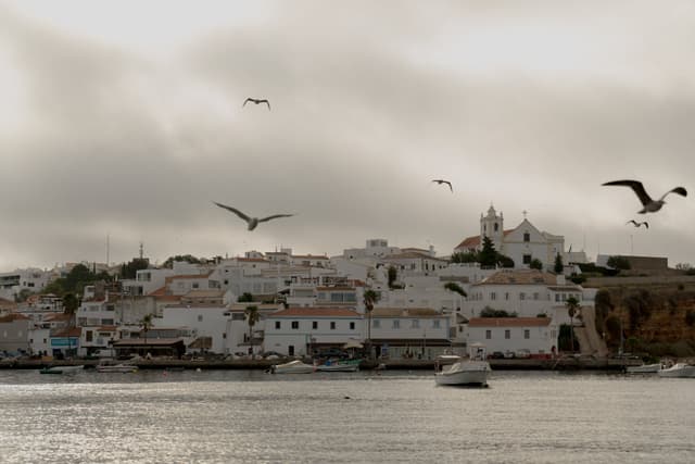 View of Algarve town from the sea